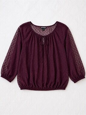 Express Sheer Swiss Dot Blouse – Size Small (Relaxed Fit)-size S/M